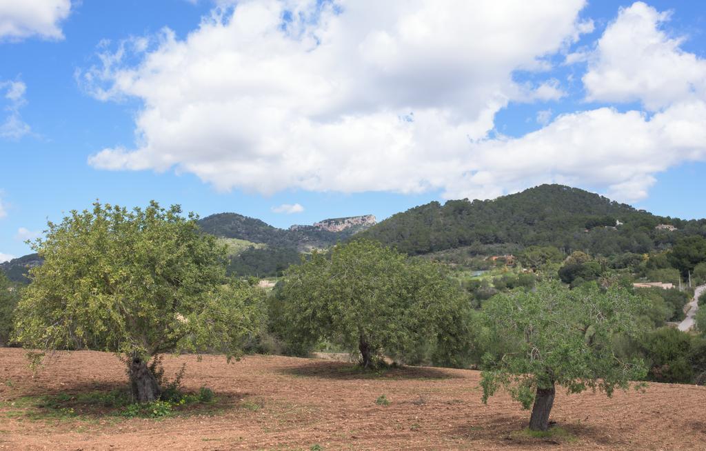Finca Batlet S'Horta Экстерьер фото
